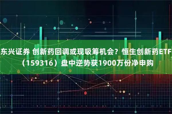 东兴证券 创新药回调或现吸筹机会？恒生创新药ETF（159316）盘中逆势获1900万份净申购