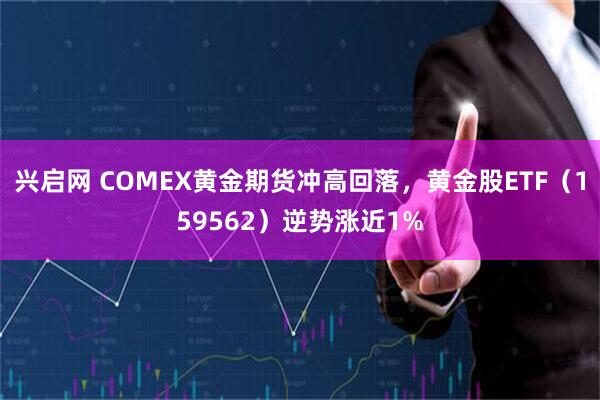 兴启网 COMEX黄金期货冲高回落，黄金股ETF（159562）逆势涨近1%