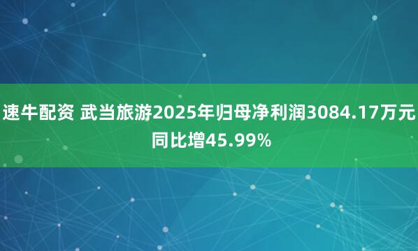速牛配资 武当旅游2025年归母净利润3084.17万元 同比增45.99%