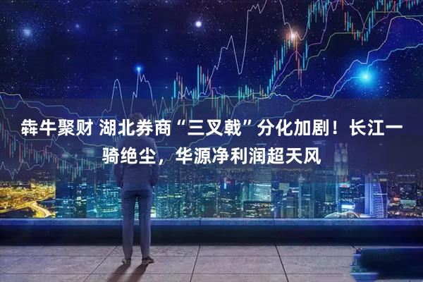 犇牛聚财 湖北券商“三叉戟”分化加剧！长江一骑绝尘，华源净利润超天风