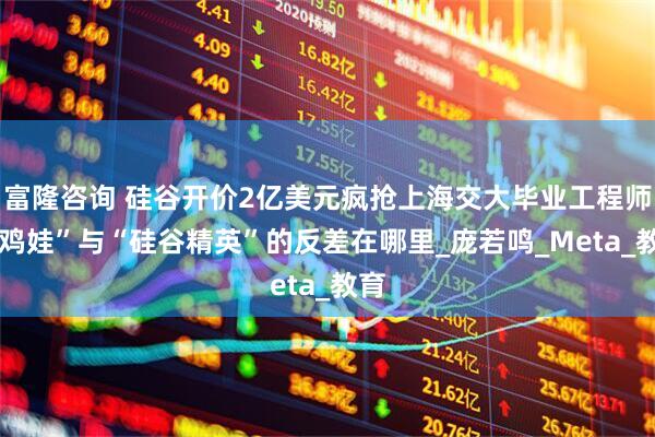 富隆咨询 硅谷开价2亿美元疯抢上海交大毕业工程师,“鸡娃”与“硅谷精英”的反差在哪里_庞若鸣_Meta_教育