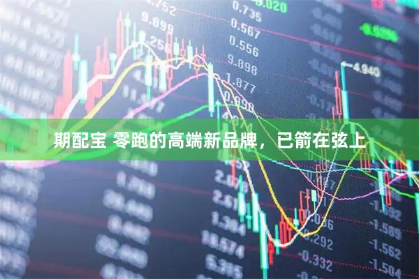 期配宝 零跑的高端新品牌，已箭在弦上