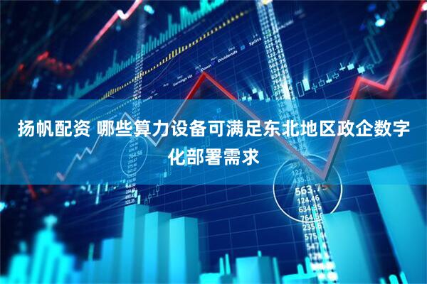 扬帆配资 哪些算力设备可满足东北地区政企数字化部署需求