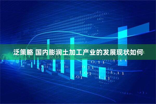 泛策略 国内膨润土加工产业的发展现状如何