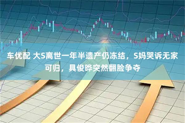 车优配 大S离世一年半遗产仍冻结，S妈哭诉无家可归，具俊晔突然翻脸争夺